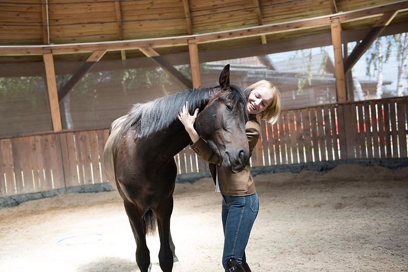 The Horse Who Seemed to Sense a Medical Emergency Before Anyone Else